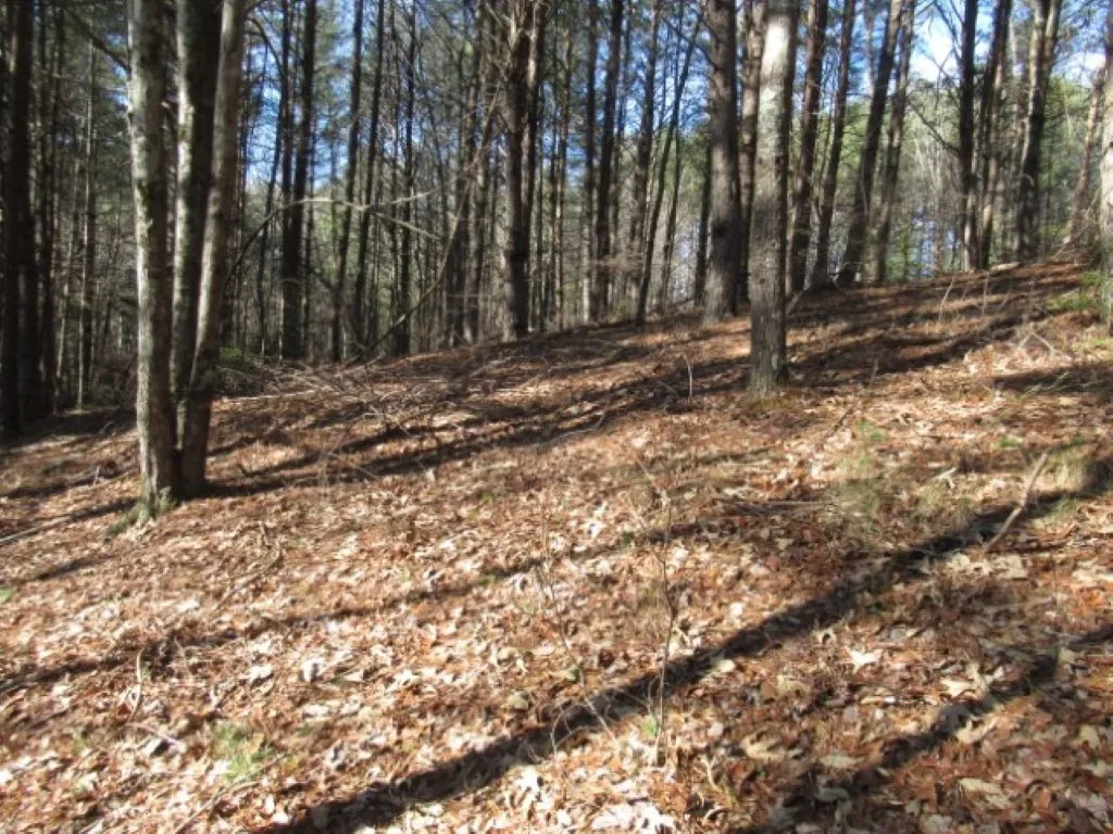 Property image 5 at Lot 10 Sweet Shrub Court, Sunset, SC 29685