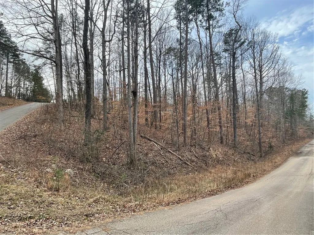 Property image 2 at 18 Buckskin Trail, Martin, GA 30557