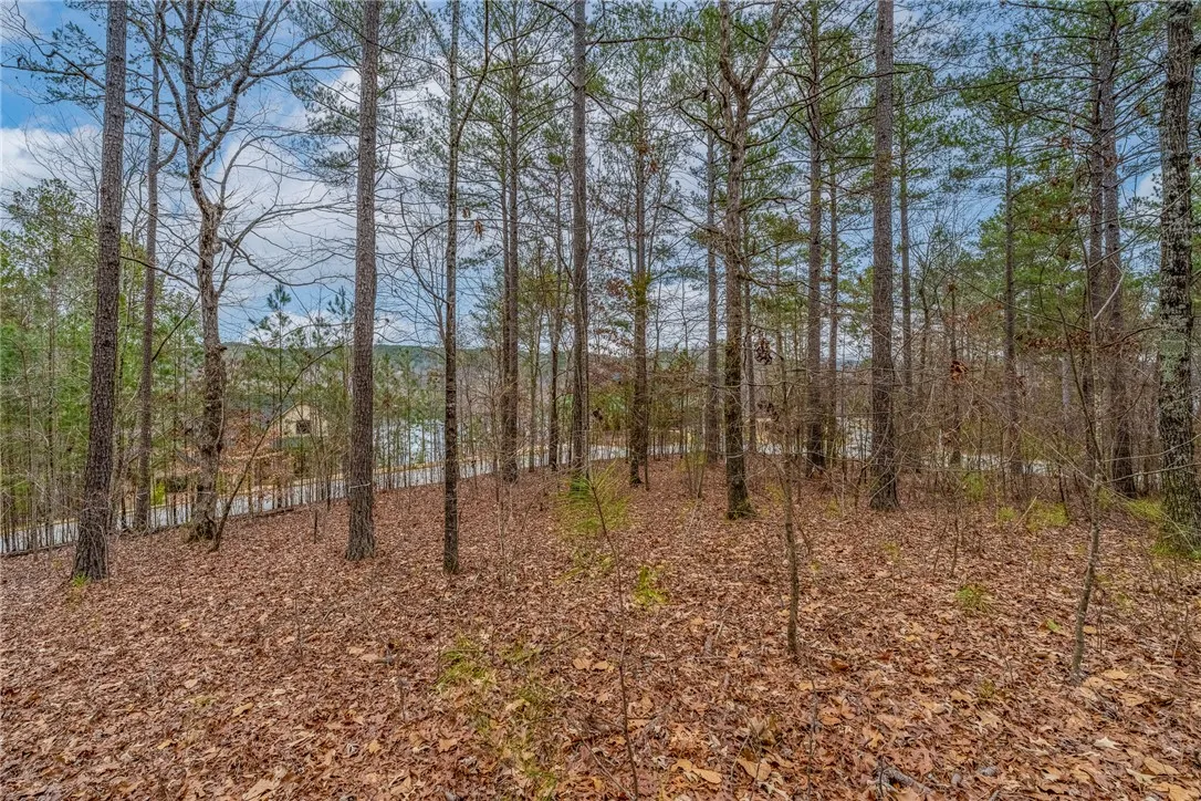 Property image 1 at 335 Long Cove Trail, Salem, SC 29676