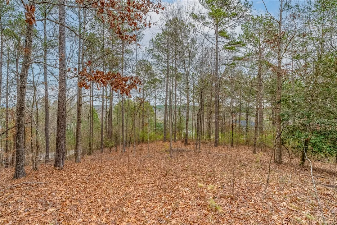Property image 3 at 335 Long Cove Trail, Salem, SC 29676