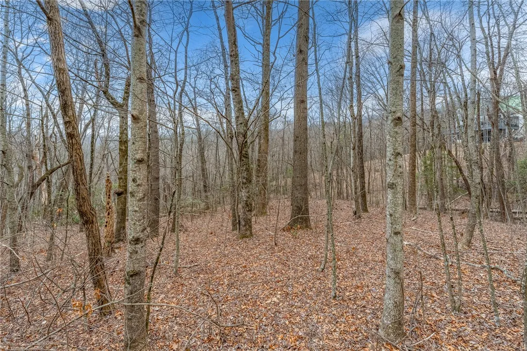 Property image 2 at 153 Catnip Trail, Landrum, SC 29356