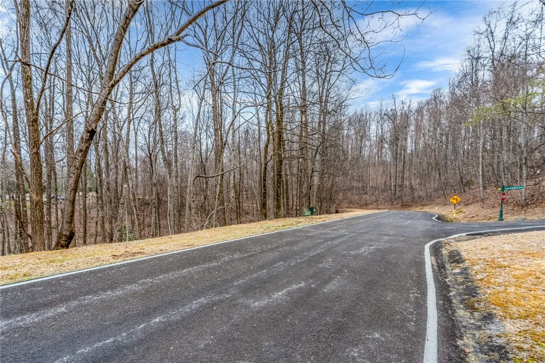 Property image 3 at 153 Catnip Trail, Landrum, SC 29356