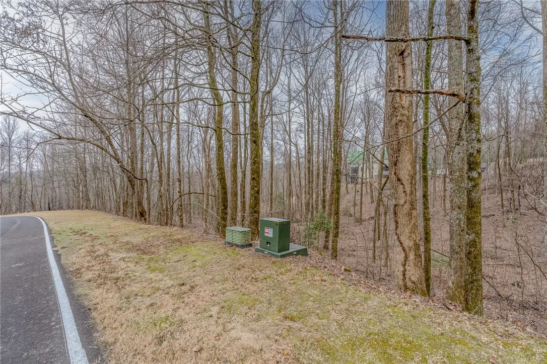 Property image 4 at 153 Catnip Trail, Landrum, SC 29356