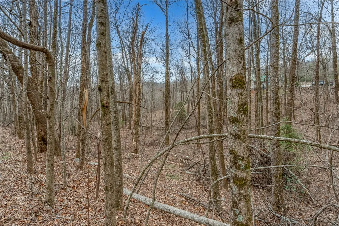 Property image 5 at 153 Catnip Trail, Landrum, SC 29356