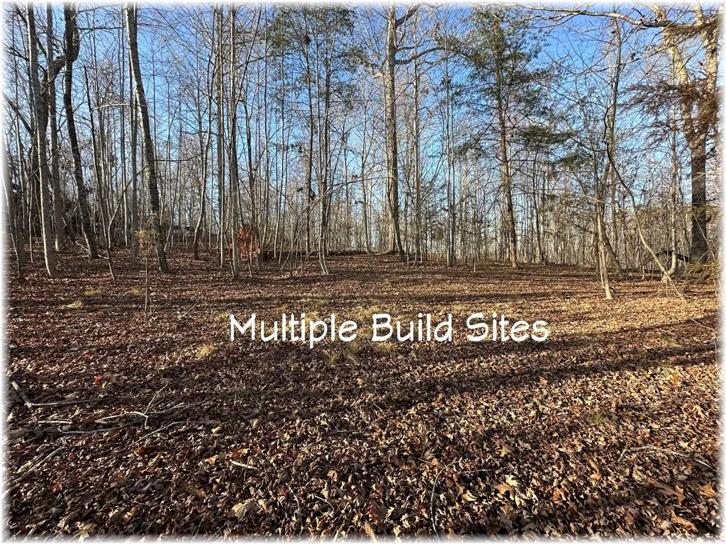 Property image 4 at Lot 6 Martin Creek Road, Seneca, SC 29678