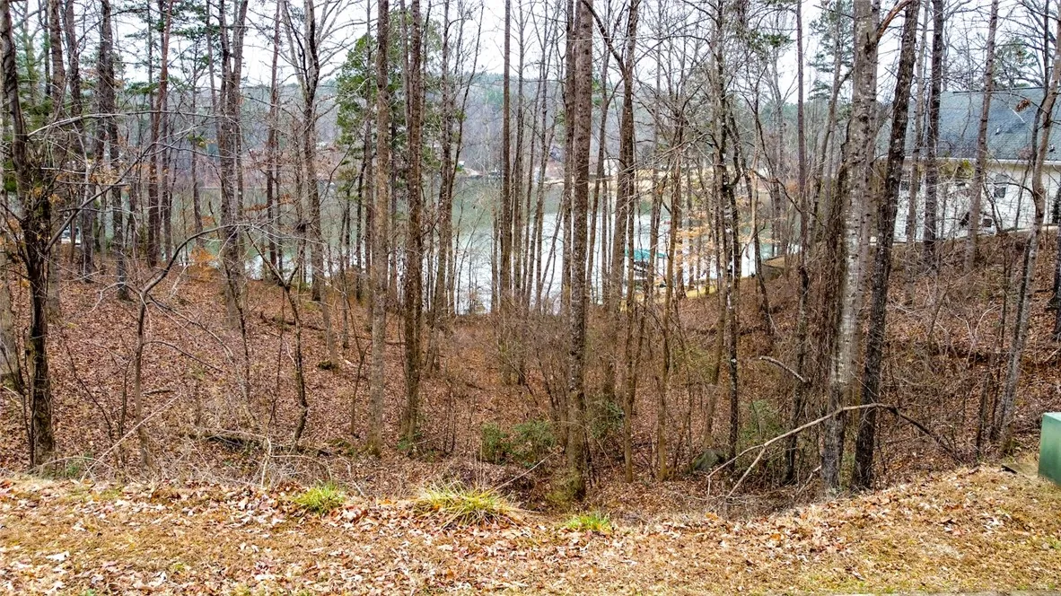 Property image 4 at 107 W Waters Edge Lane, West Union, SC 29696