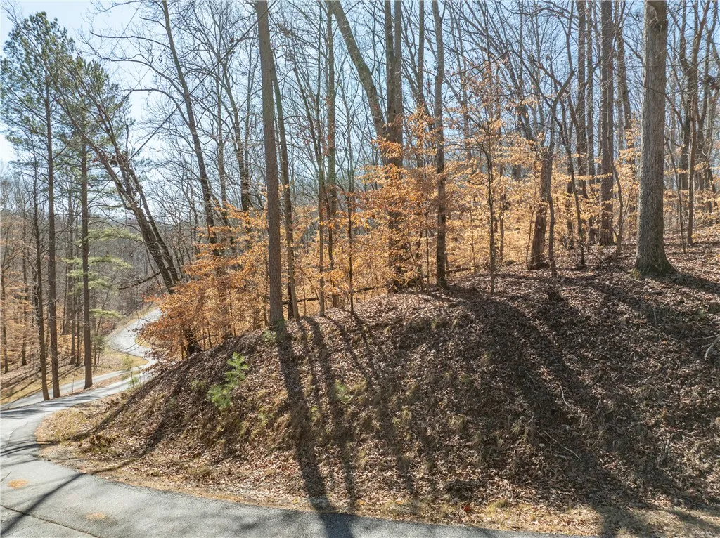 Property image 5 at Lot 664 S Sundew Drive, Westminster, SC 29693