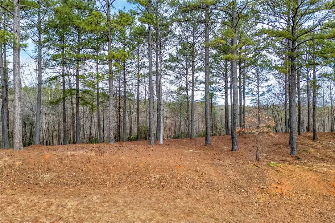 Property image 2 at 321 Golden Bear Drive, Sunset, SC 29685