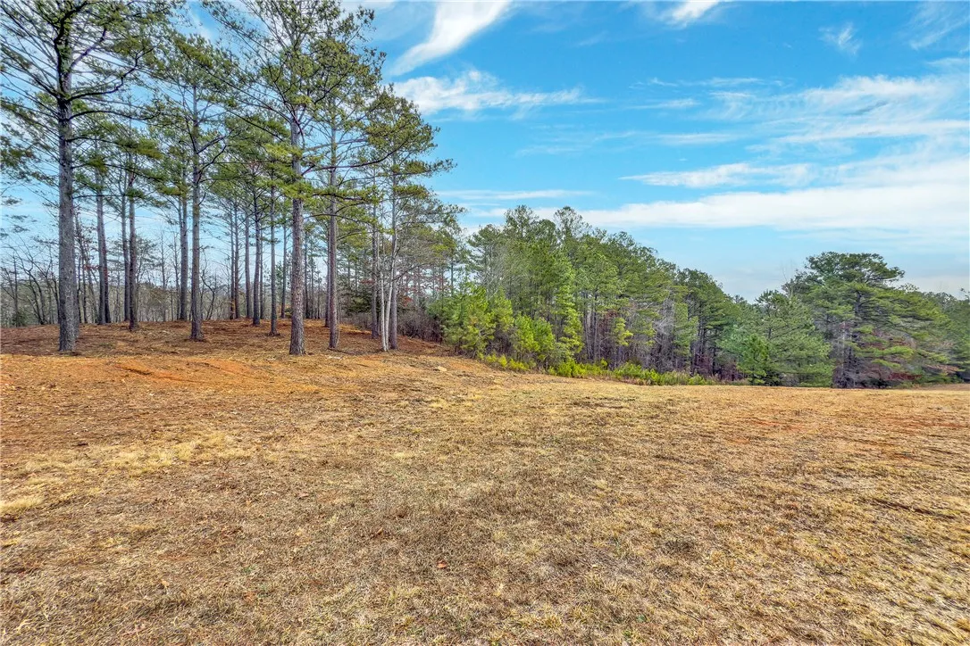 Property image 3 at 321 Golden Bear Drive, Sunset, SC 29685