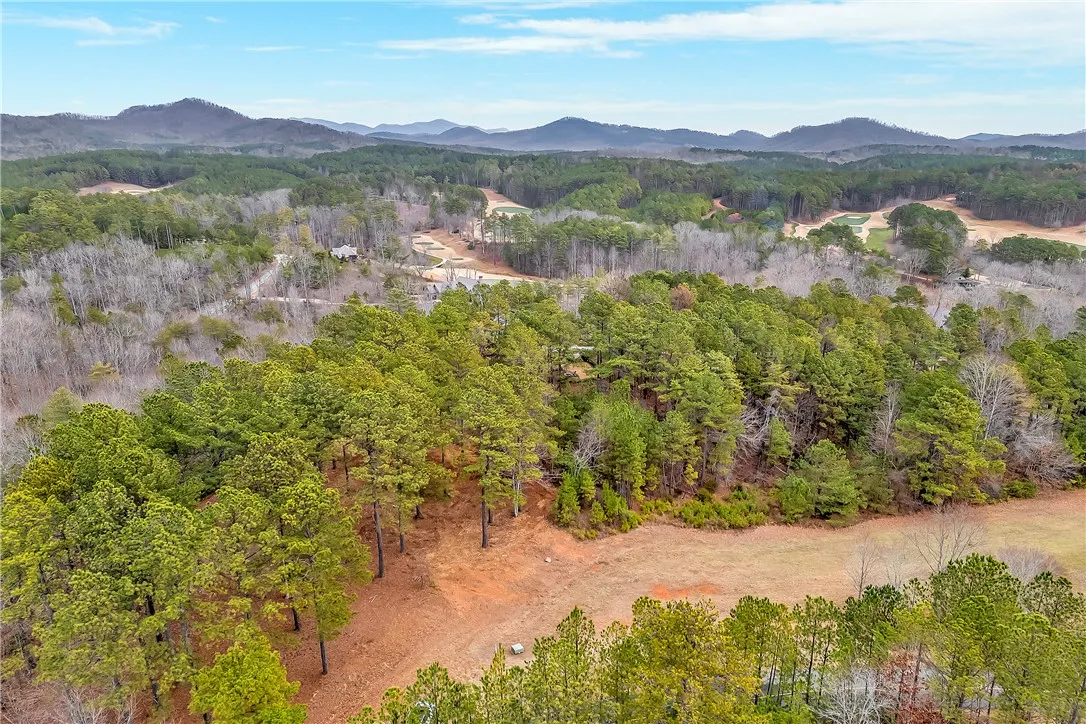 Property image 5 at 321 Golden Bear Drive, Sunset, SC 29685