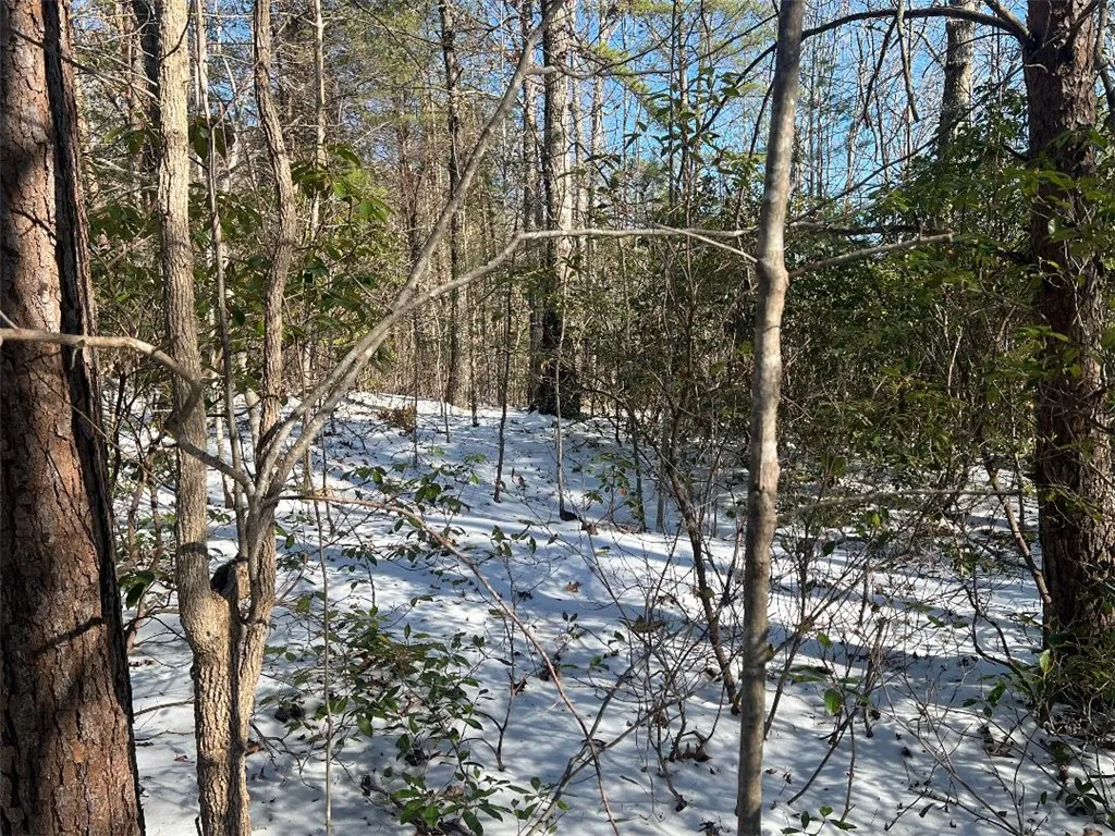 Property image 4 at 308 Mountain Summit Road, Travelers Rest, SC 29690