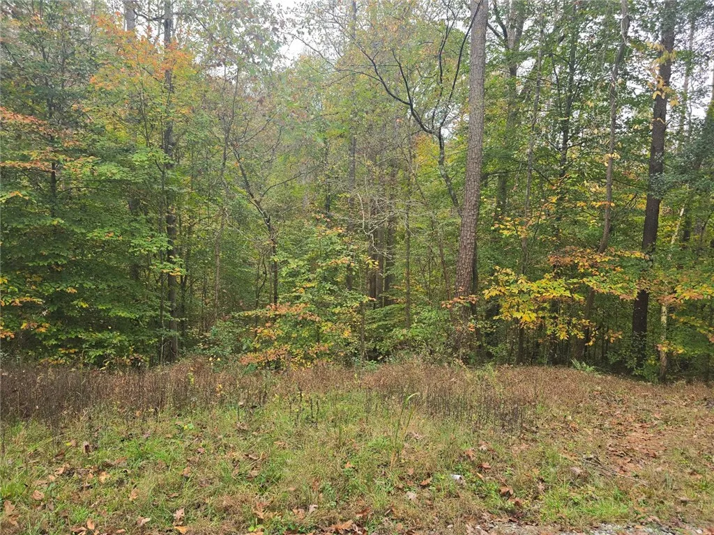 Property image 1 at 00 Sequoia Trail, Westminster, SC 29693