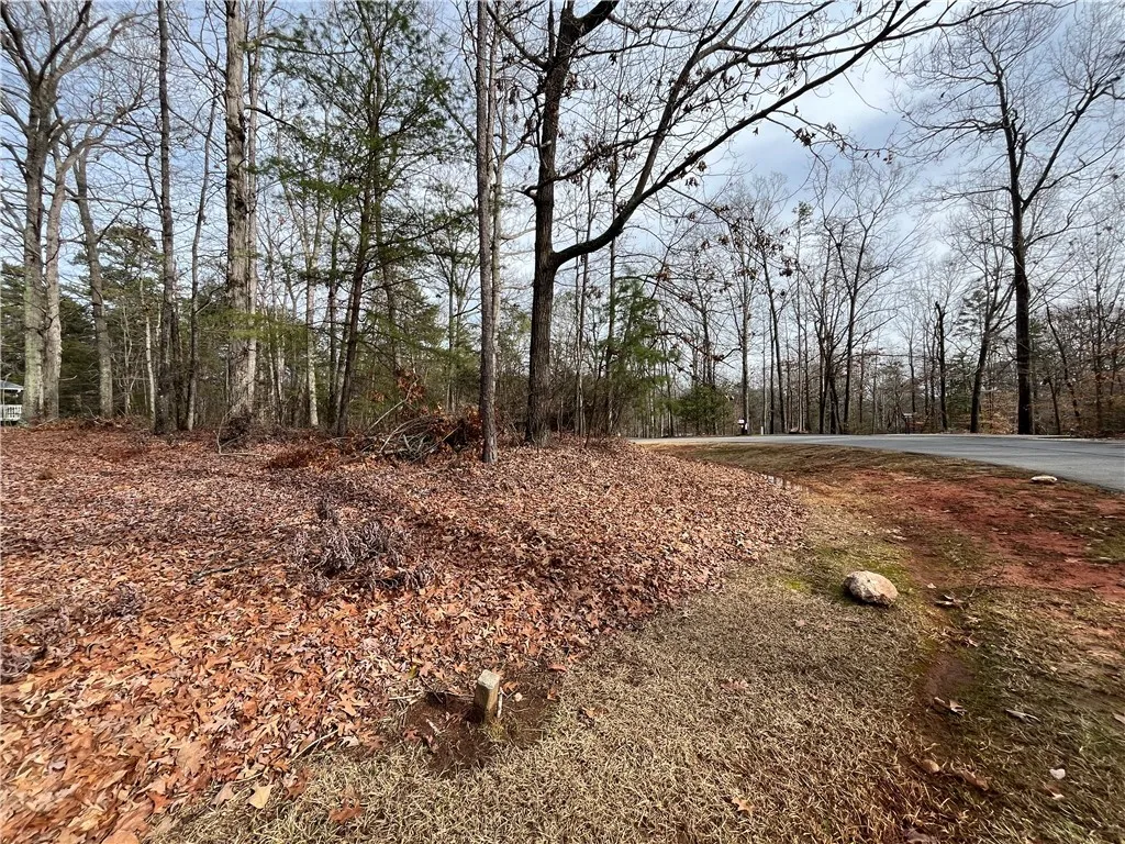 Property image 1 at 00 Pintail Road, Anderson, SC 29626