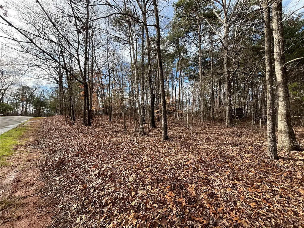 Property image 2 at 00 Pintail Road, Anderson, SC 29626
