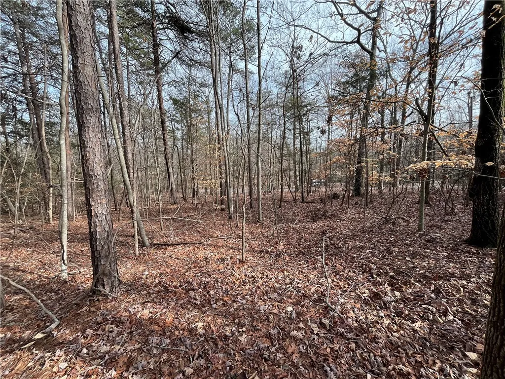 Property image 4 at 00 Pintail Road, Anderson, SC 29626