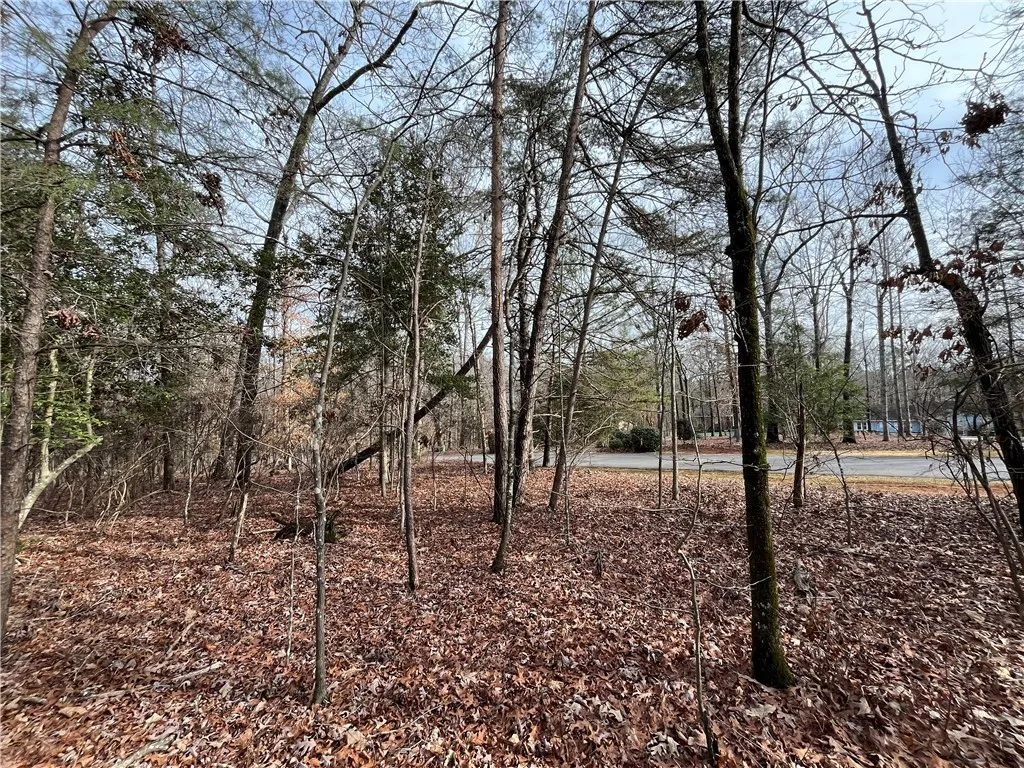 Property image 5 at 00 Pintail Road, Anderson, SC 29626