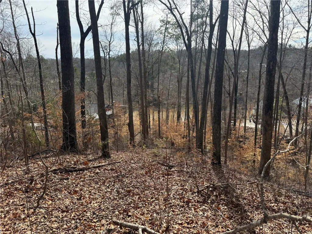 Property image 2 at Lot 14 Inlet Drive, Seneca, SC 29672