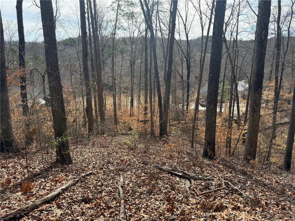 Property image 3 at Lot 14 Inlet Drive, Seneca, SC 29672