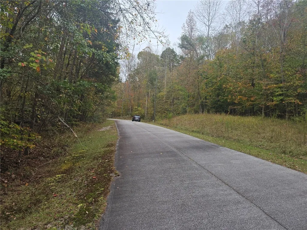 Property image 3 at 00 Birch Court, Westminster, SC 29693