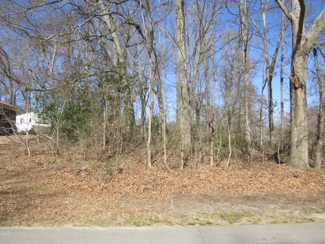 Property image 3 at Tbd Horse Shoe Bend, Anderson, SC 29625