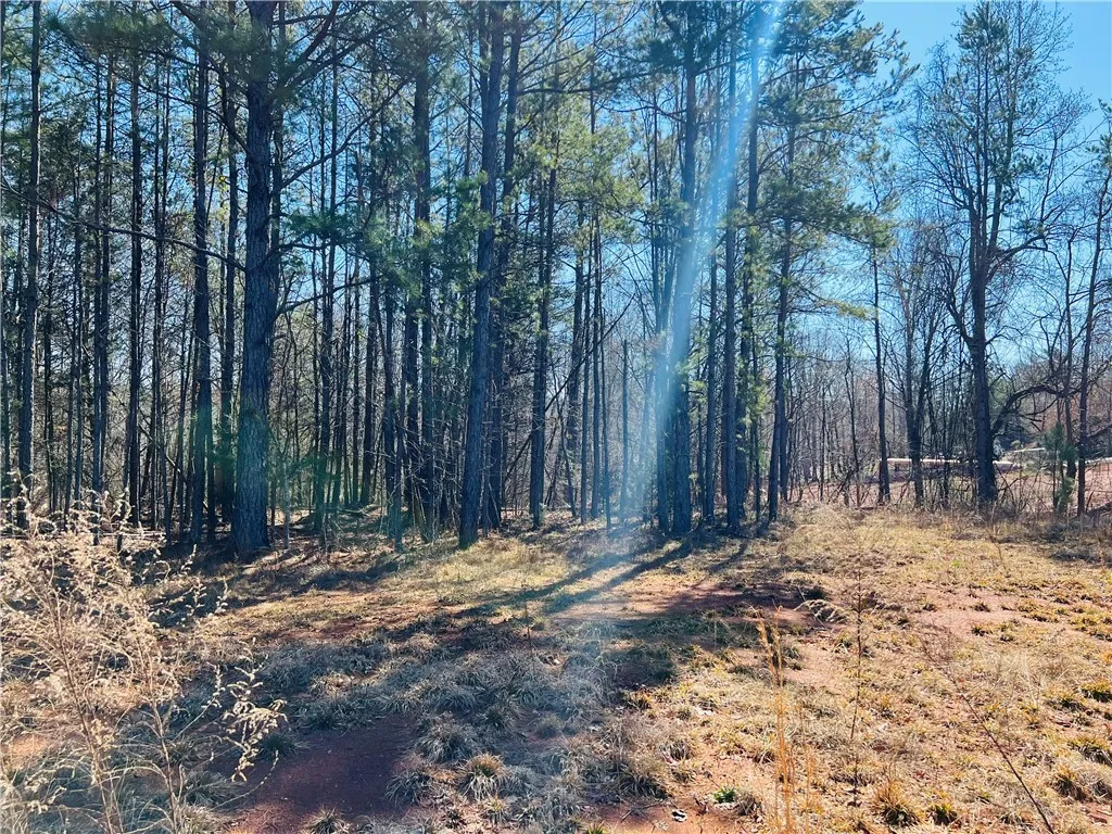 102 Golden Springs Lane
