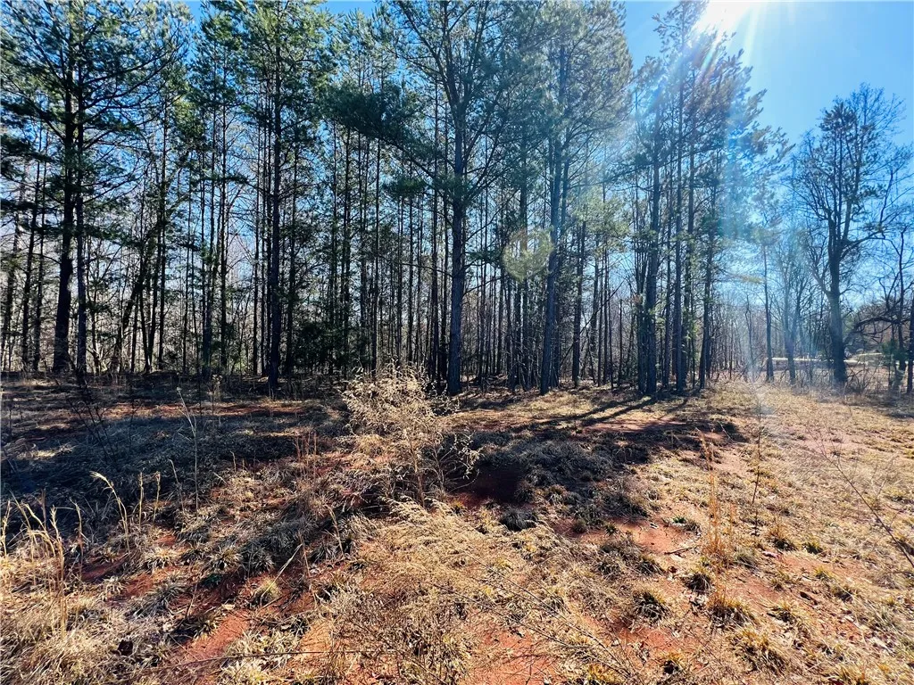Property image 2 at 102 Golden Springs Lane, Liberty, SC 29657