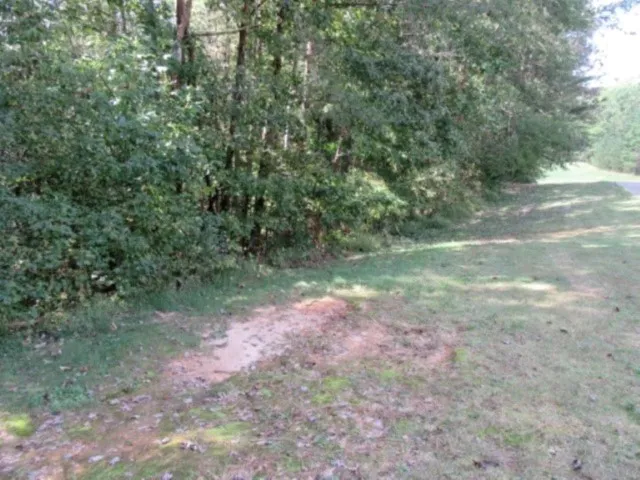 Property image 3 at 118 Hambys Way, Pickens, SC 29671