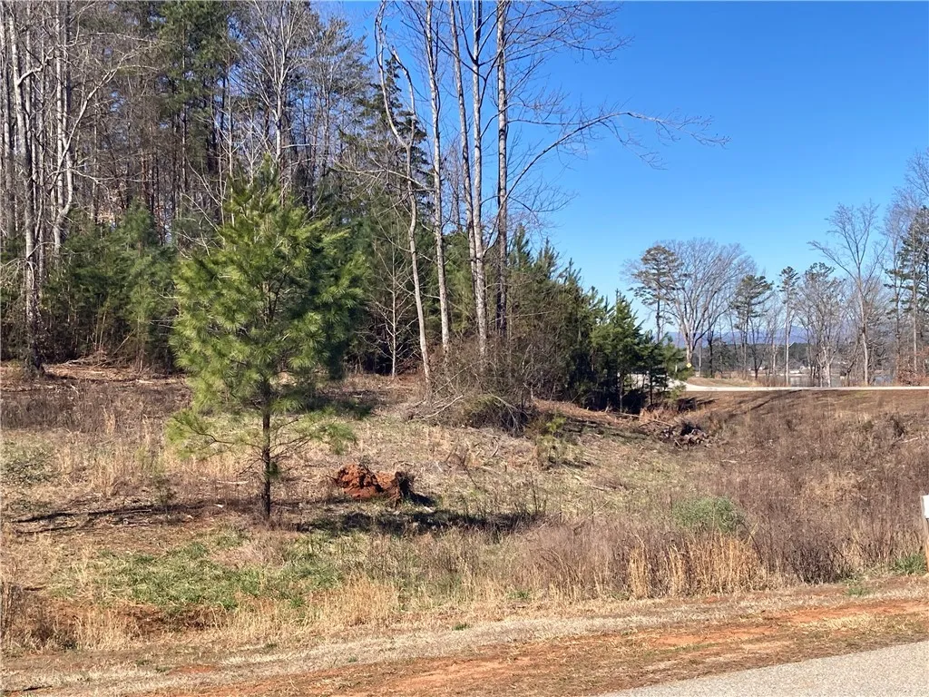Property image 3 at Lot 43 Keowee Cove, Seneca, SC 29672