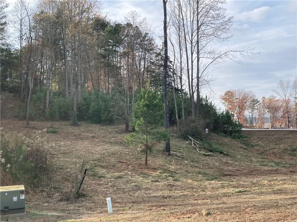 Property image 4 at Lot 43 Keowee Cove, Seneca, SC 29672