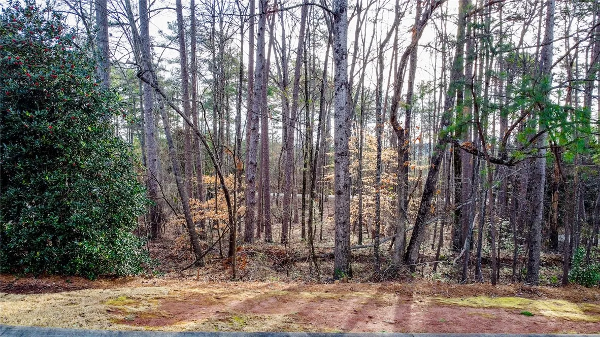 Property image 4 at 201 Wild Oak Court, Seneca, SC 29672