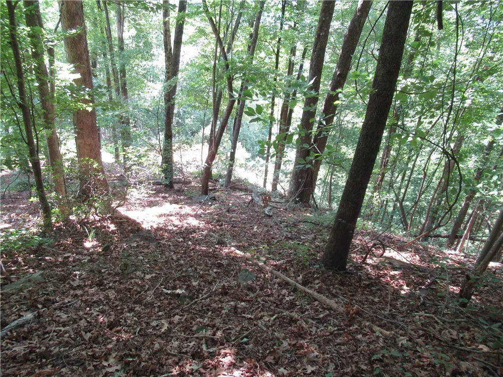 Property image 4 at 808 Whispering Falls Drive, Pickens, SC 29671