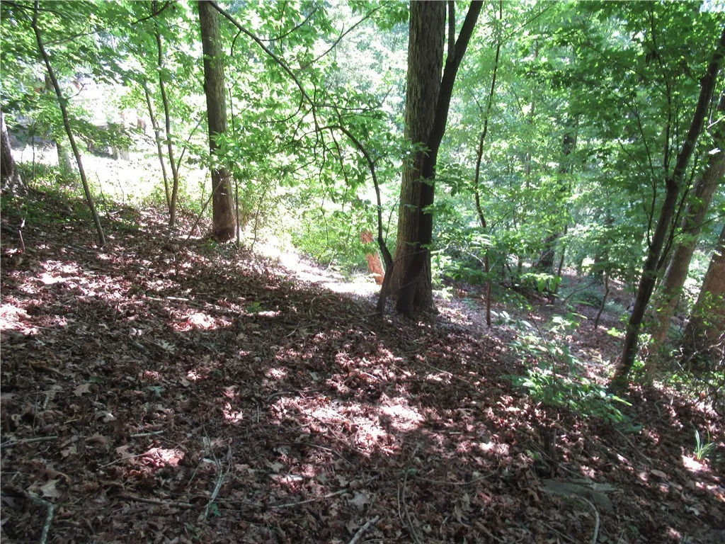 Property image 5 at 808 Whispering Falls Drive, Pickens, SC 29671