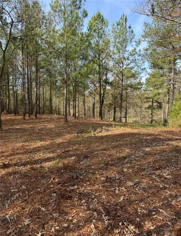 Property image 3 at 320 Watersedge Drive, Cross Hill, SC 29332