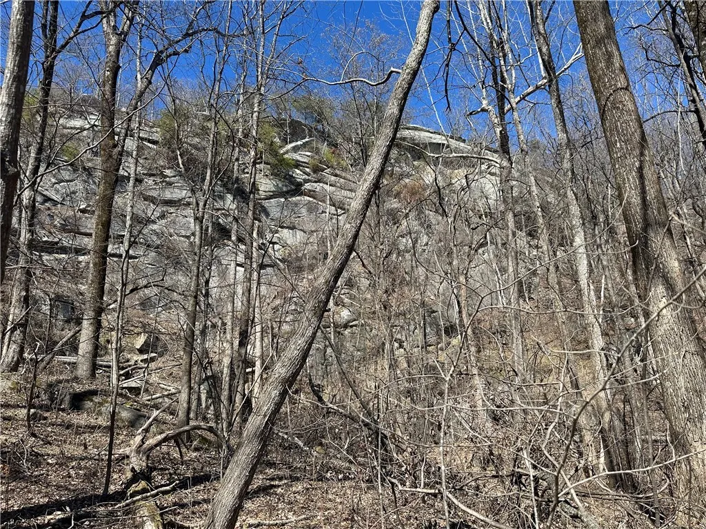Property image 5 at 00 High Country Way, Landrum, SC 29356