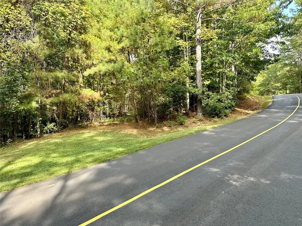 Property image 3 at 310 Top Ridge Drive, Sunset, SC 29685