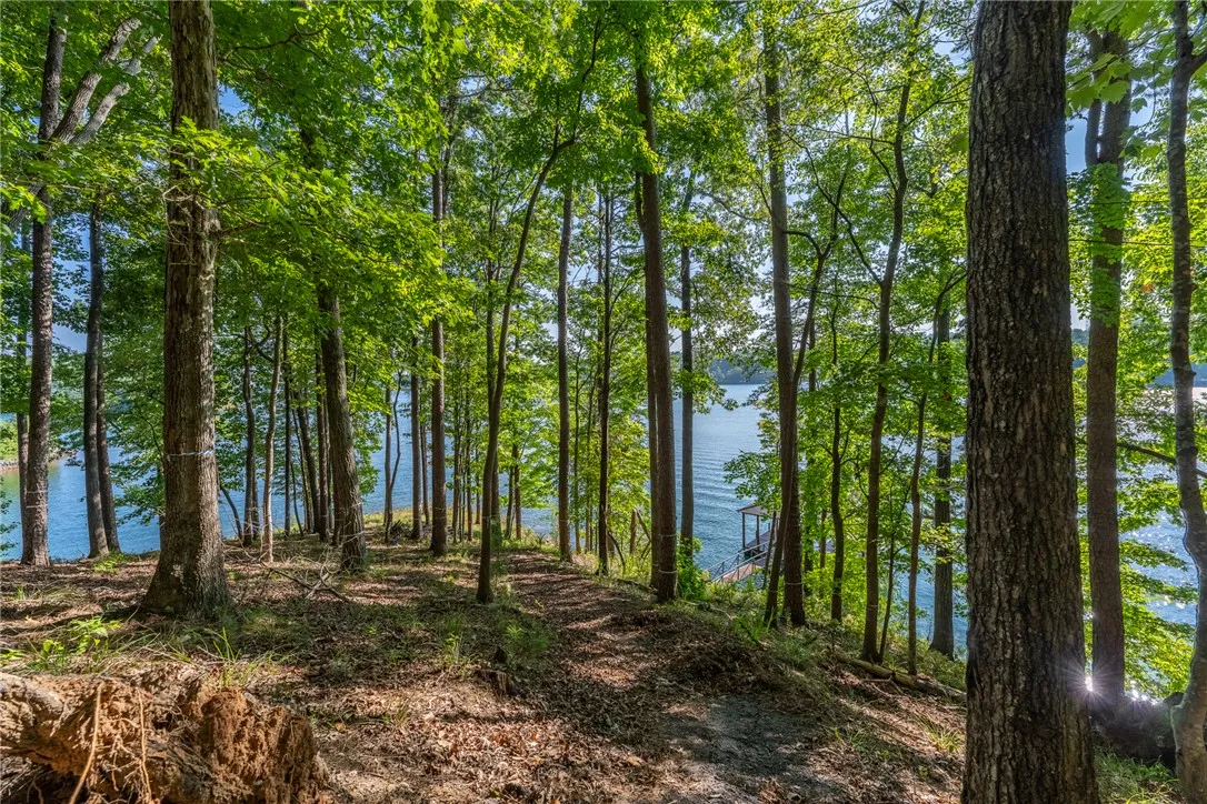 Property image 3 at 107 S Turtle Rock Road, Sunset, SC 29685