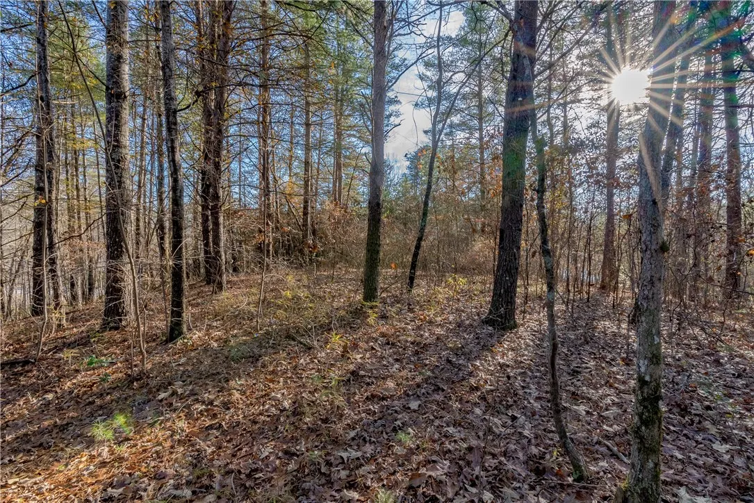 Property image 2 at Lot 46 Princess Tree Way, Sunset, SC 29685