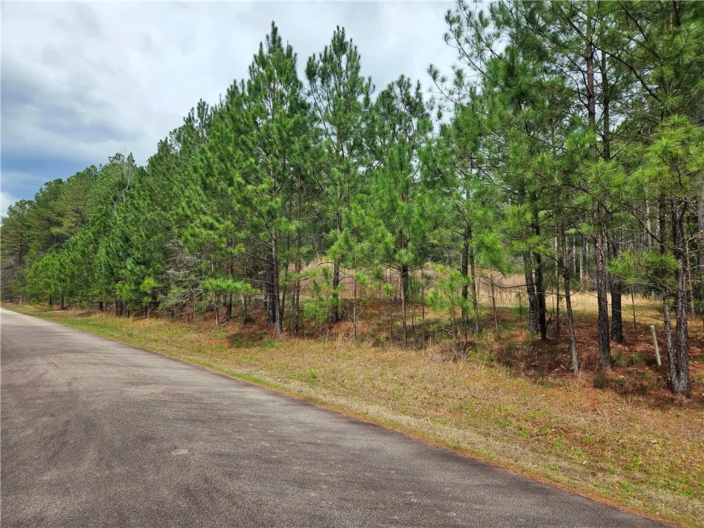 Property image 5 at 00 Southview Drive, Iva, SC 29655