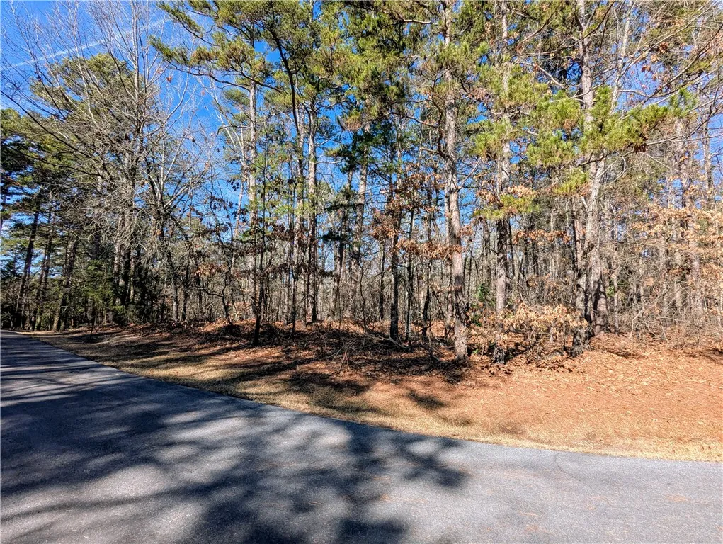 Property image 3 at 2 Pine Garden Circle, Salem, SC 29676