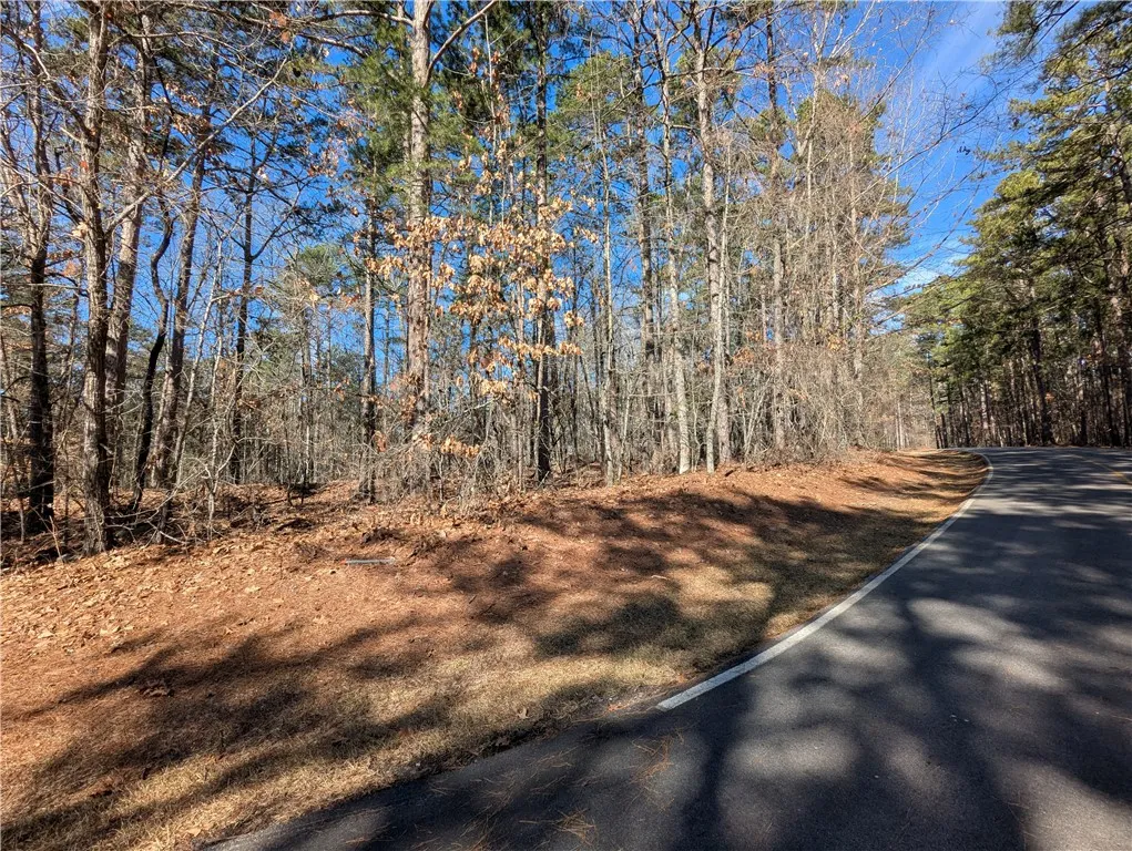Property image 4 at 2 Pine Garden Circle, Salem, SC 29676