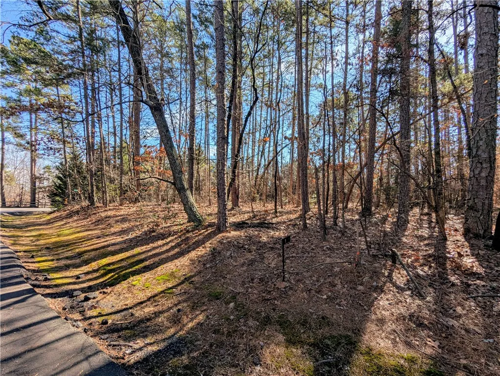 Property image 4 at 1 Pine Garden Circle, Salem, SC 29676