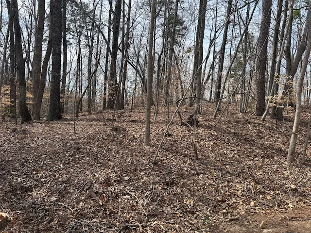 Property image 3 at 1717 Point Road, Westminster, SC 29693