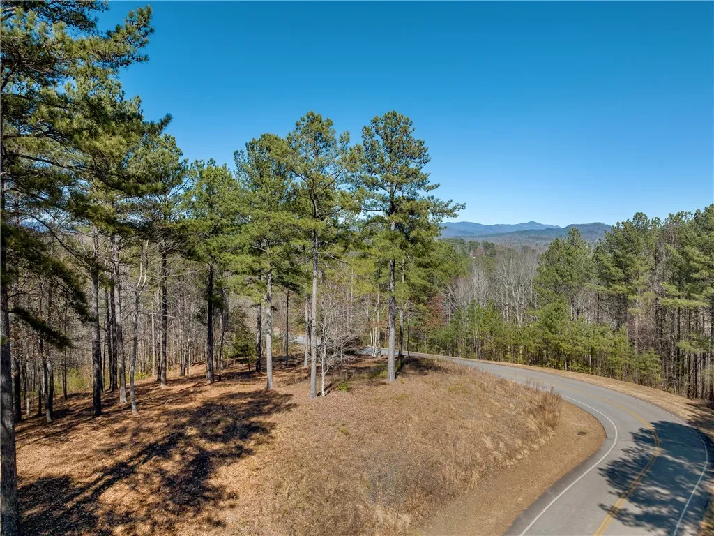 Property image 3 at Lot 60 Cliffs South Parkway, Salem, SC 29676