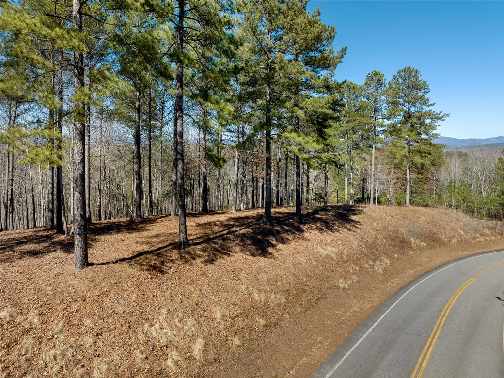 Property image 4 at Lot 60 Cliffs South Parkway, Salem, SC 29676