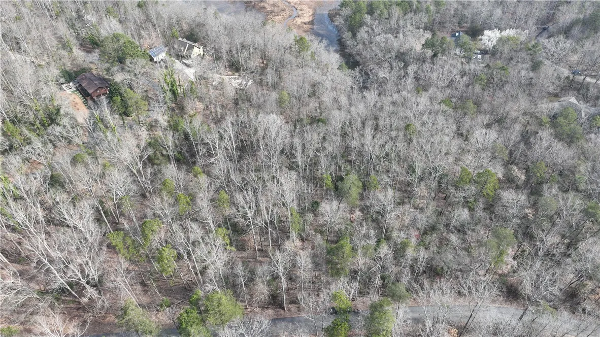 Property image 4 at 00 Pin Du Lac Drive, Central, SC 29630