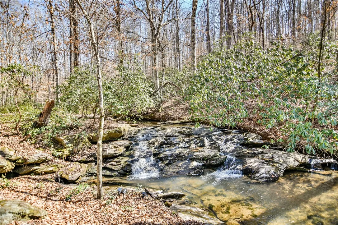 Property image 4 at 160 Julie Way, Pickens, SC 29671