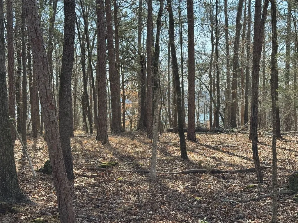 Tract A Tugaloo Heights Circle