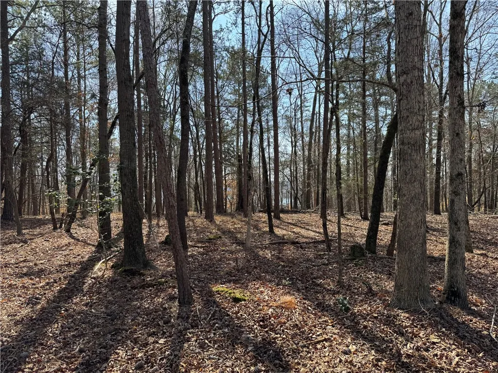 Property image 2 at Tract A Tugaloo Heights Circle, Fair Play, SC 29643