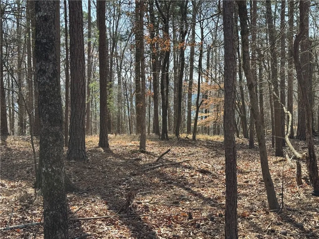Property image 3 at Tract A Tugaloo Heights Circle, Fair Play, SC 29643