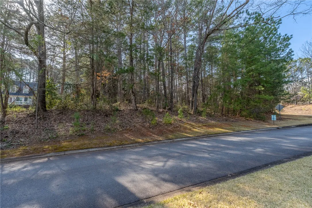 Property image 5 at Lot 31 Emerald Pointe Drive, Seneca, SC 29672